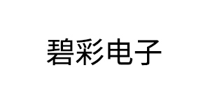 宁波碧彩电子有限公司